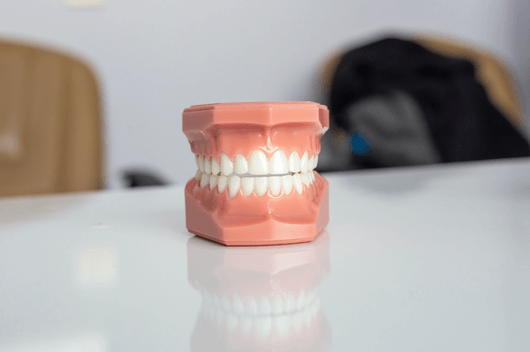 Teeth whitening model in Ropergate Dental, Pontefract - enlighten teeth whitening terms and conditions